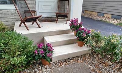 A small concrete front porch with two wooden chairs and potted purple flowers placed along the steps, surrounded by bushes and decorative gravel landscaping.