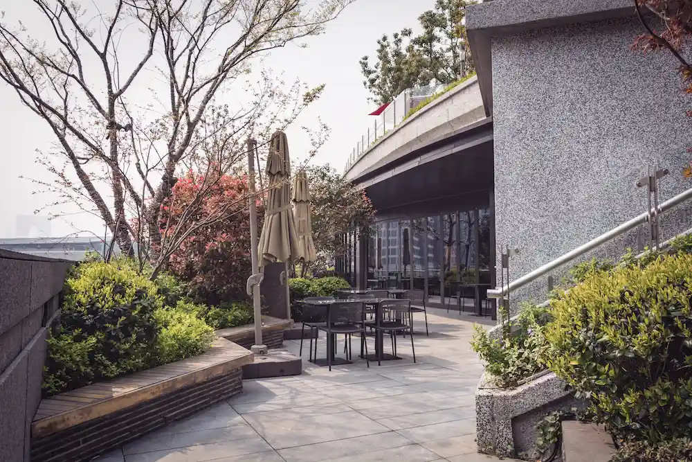 Newly installed concrete patio in a residential backyard